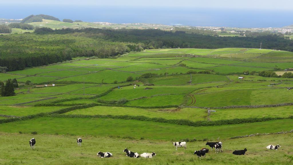 Quinta Do Chico Feijao Villa Lajes Phòng bức ảnh